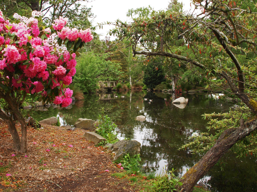 point-defiance-park-pacific-northwest-explorer