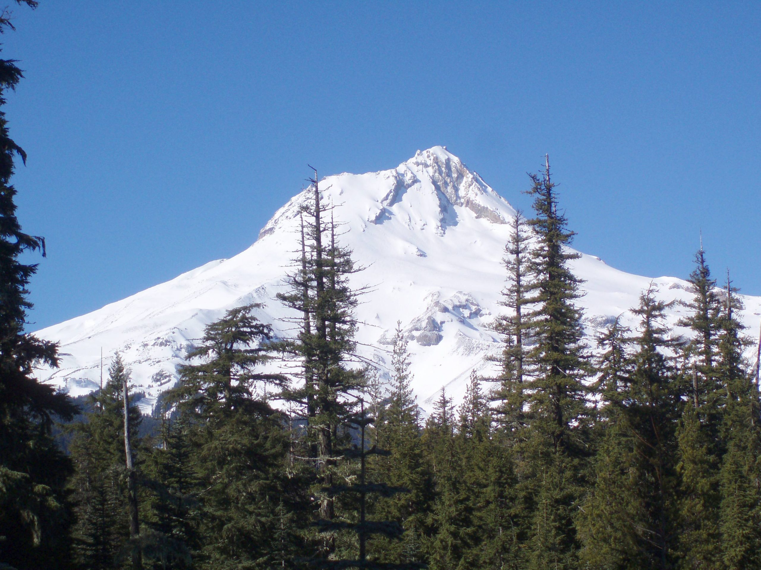 Explorer Ridge Pnw About PNW Explorer - Pacific Northwest Explorer