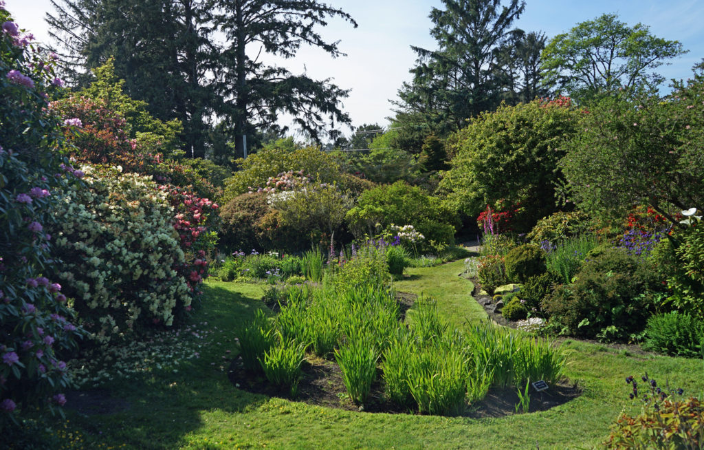 Connie Hansen Garden - Pacific Northwest Explorer