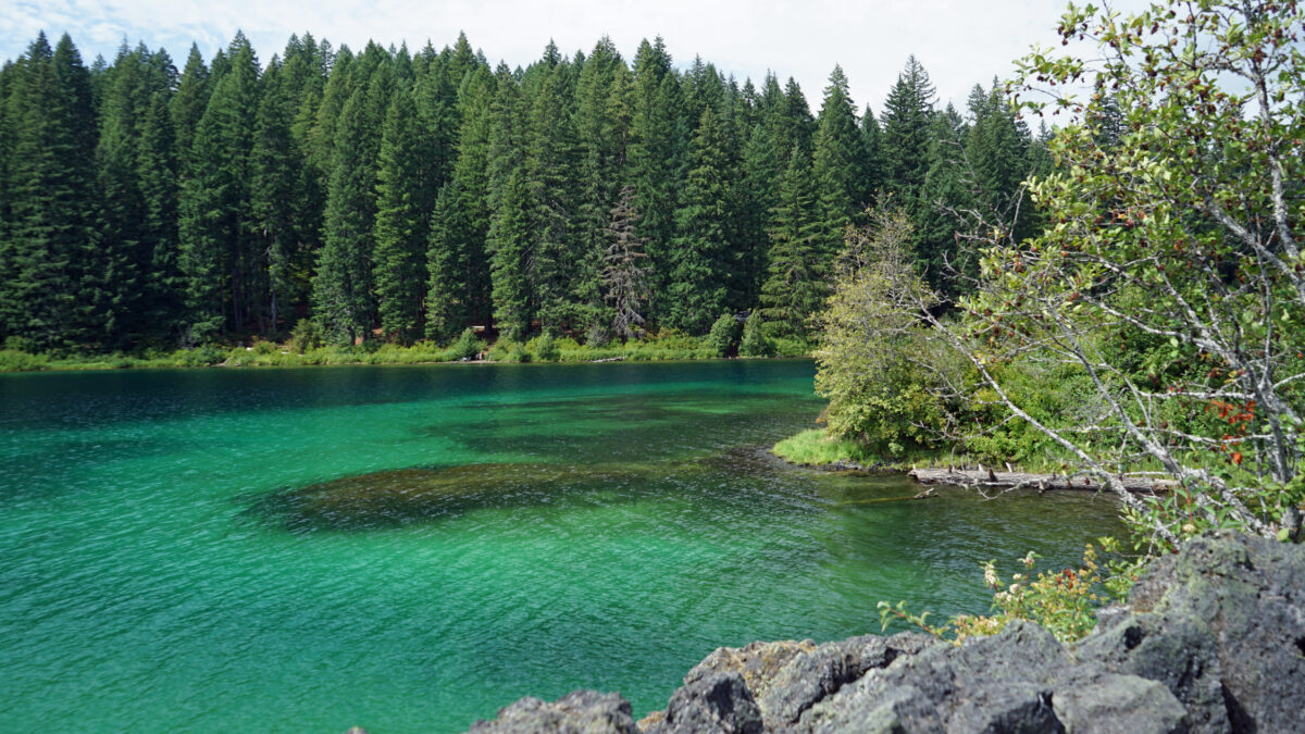 Clear Lake Loop Trail