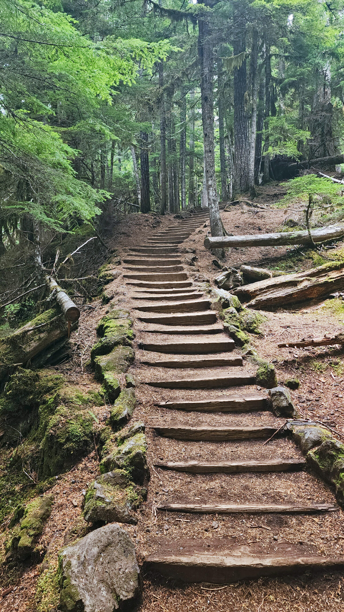 McKenzie River Waterfalls Hike - Pacific Northwest Explorer