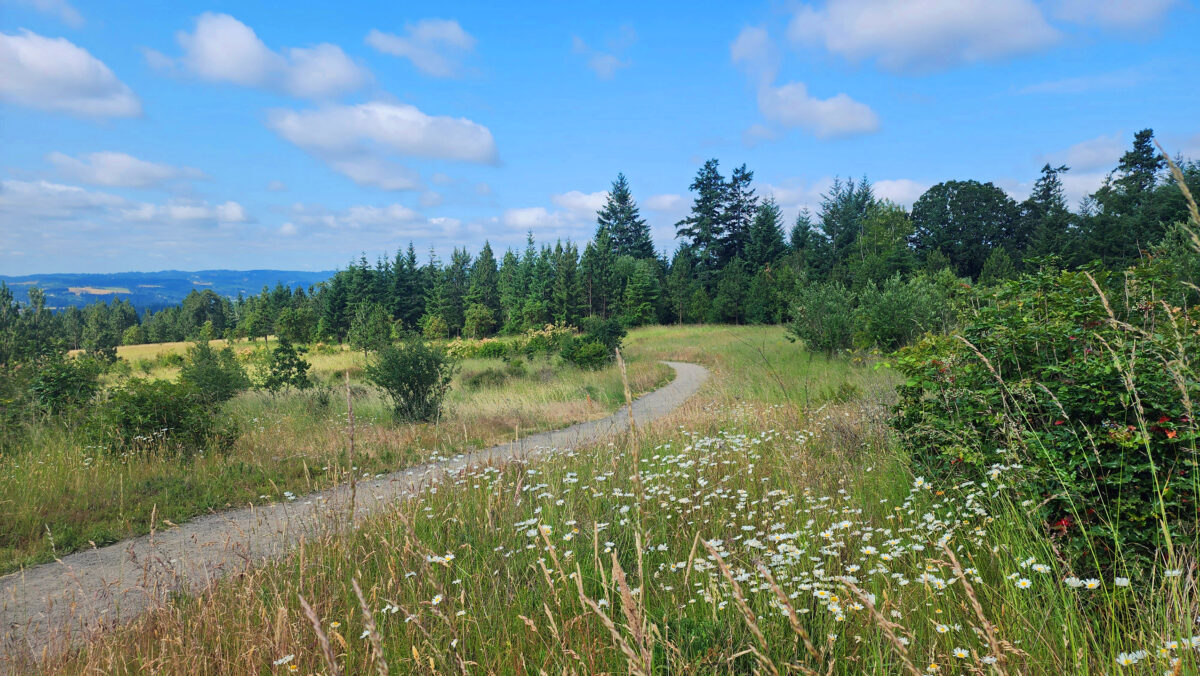 Cooper Mountain Nature Park