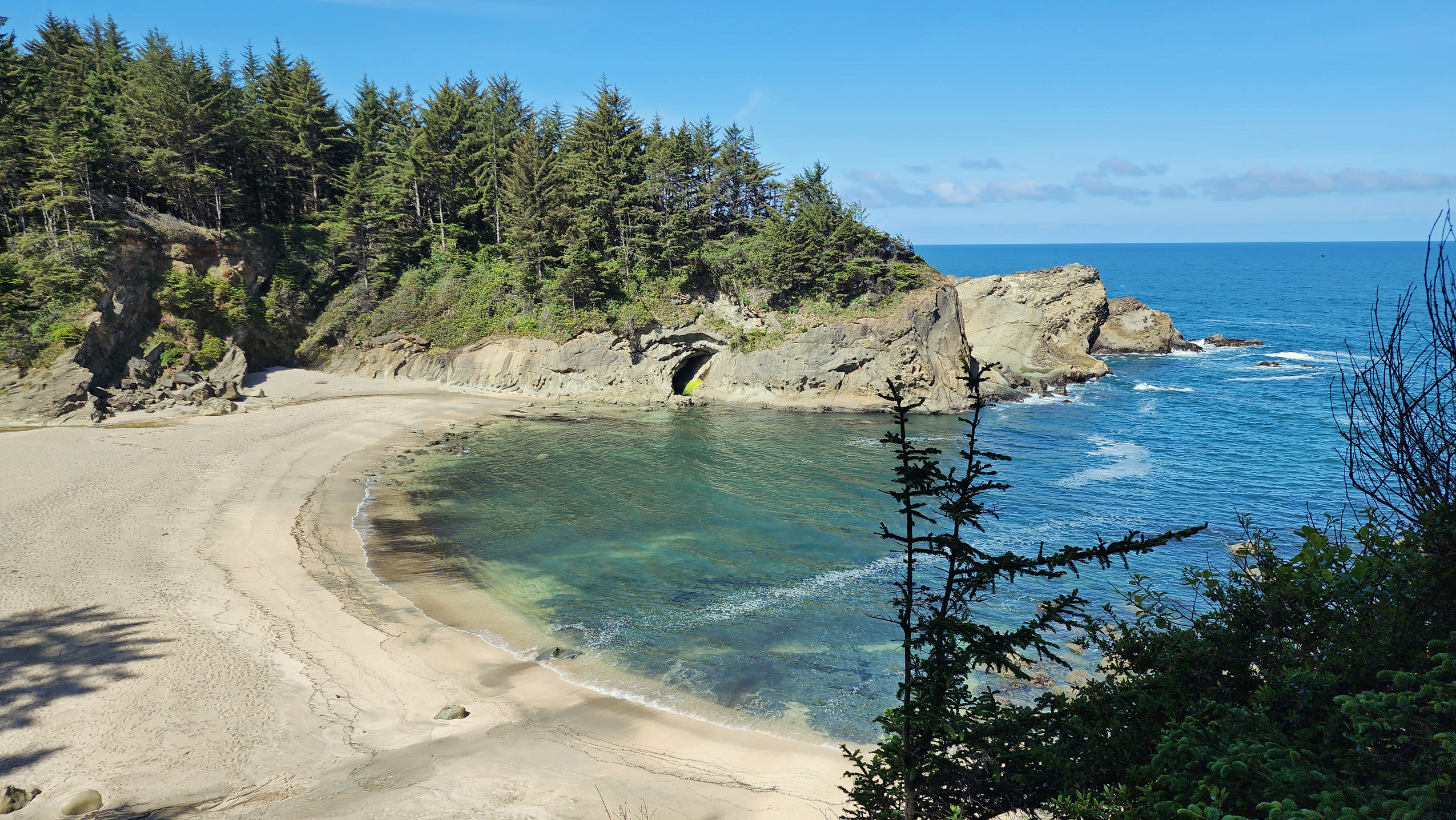 Cape Arago